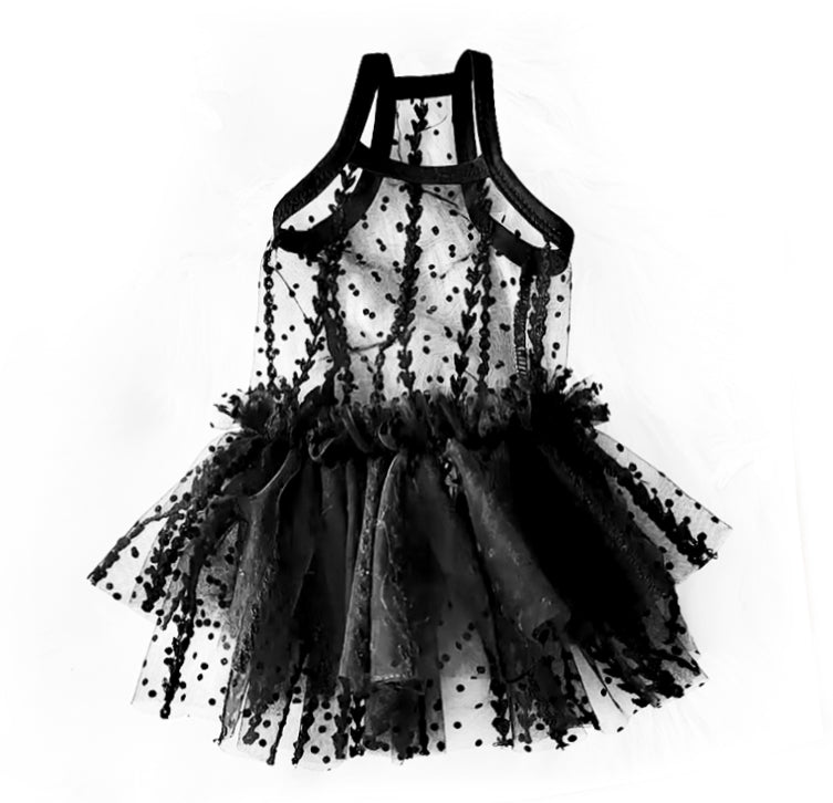 Sheer Black Dog Dress