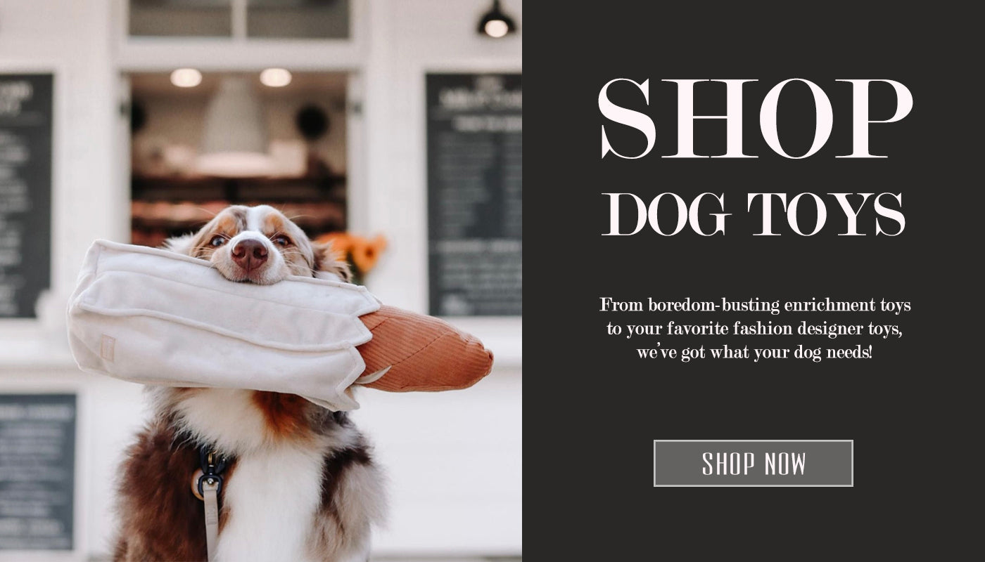 Designer Dog Toys – TeaCups, Puppies & Boutique