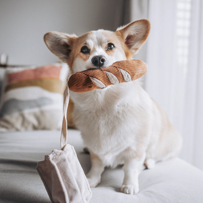 Mini Baguette Enrichment Dog Toy