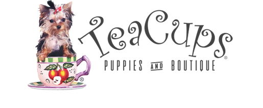 luxury pet boutique, shop small dog accessories for teacup puppies