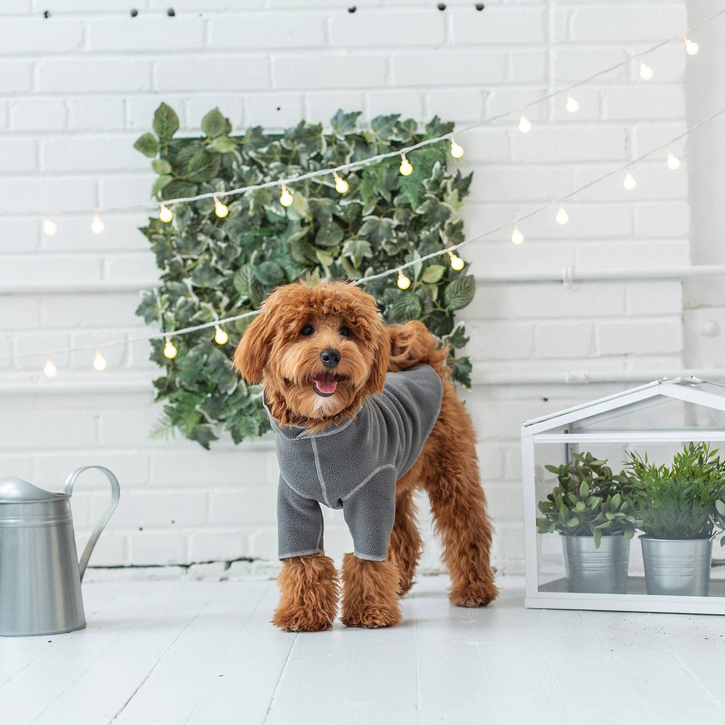 Gondola Dog Sweater