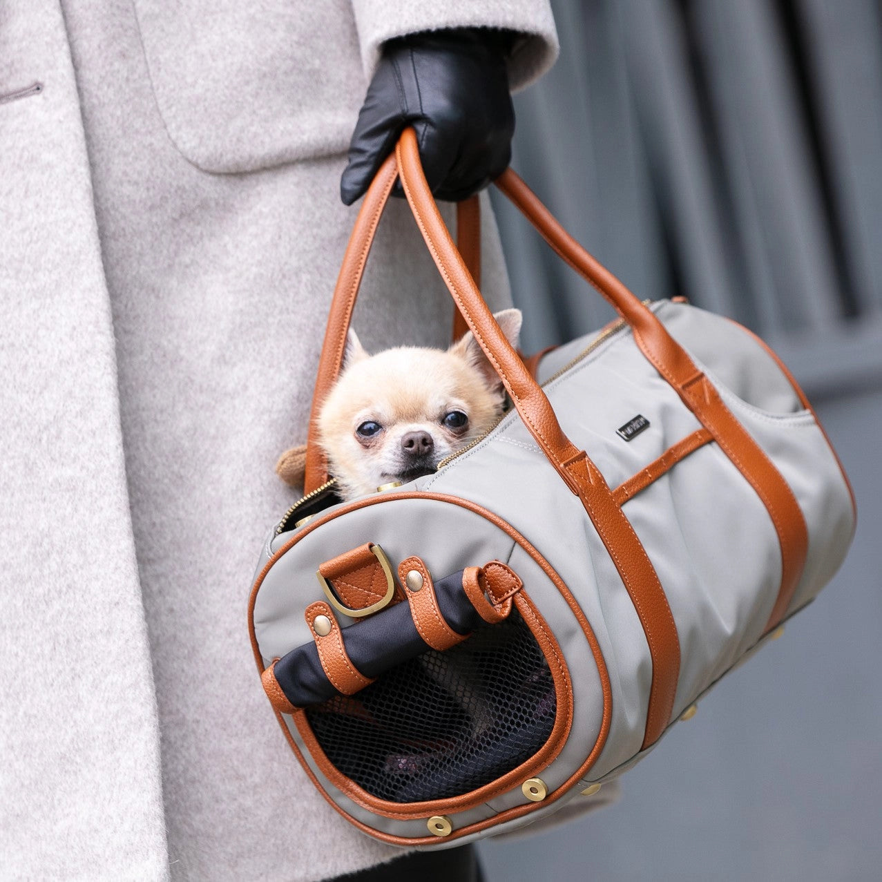 Teacup dog carrier 2024 bags