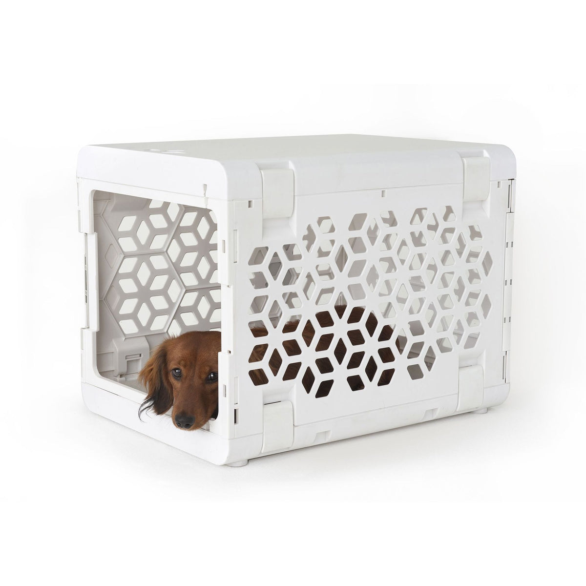 Stunning Pet Crate With Collapsible Top And Strap image