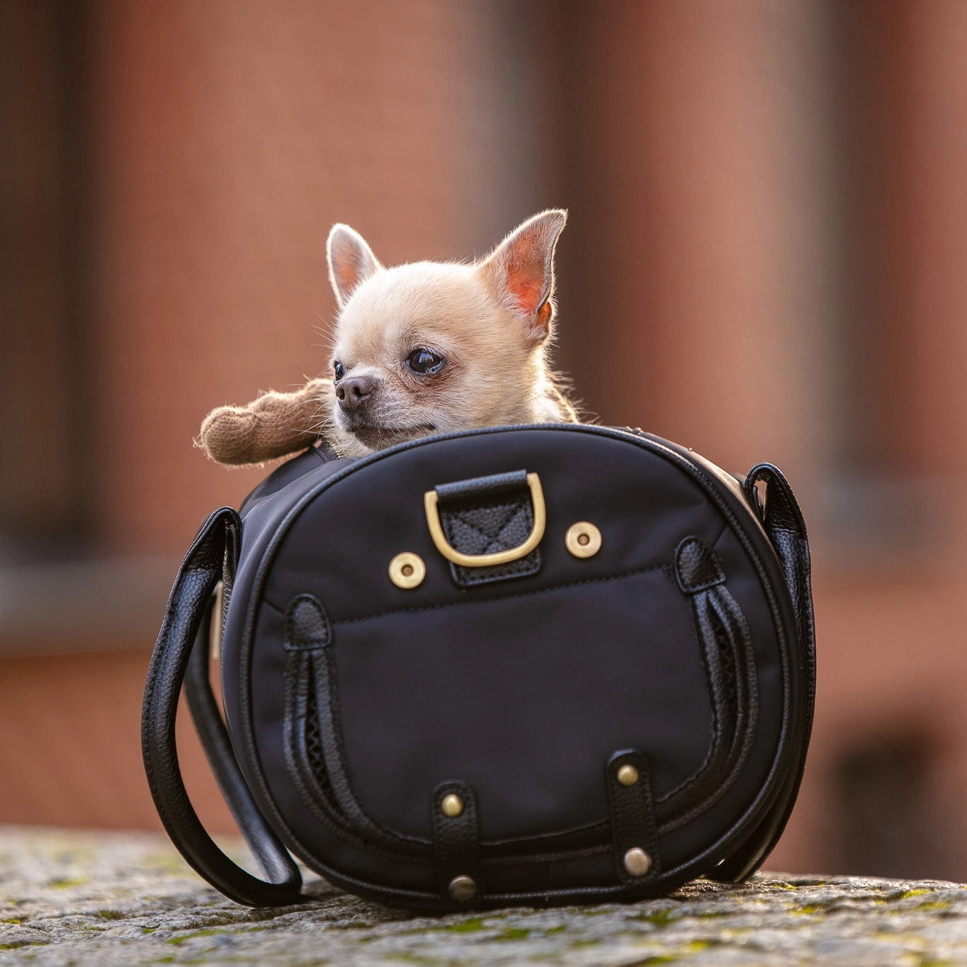 Dog Purse Teacup Puppy Carrier Dog Carrier For Medium Dogs