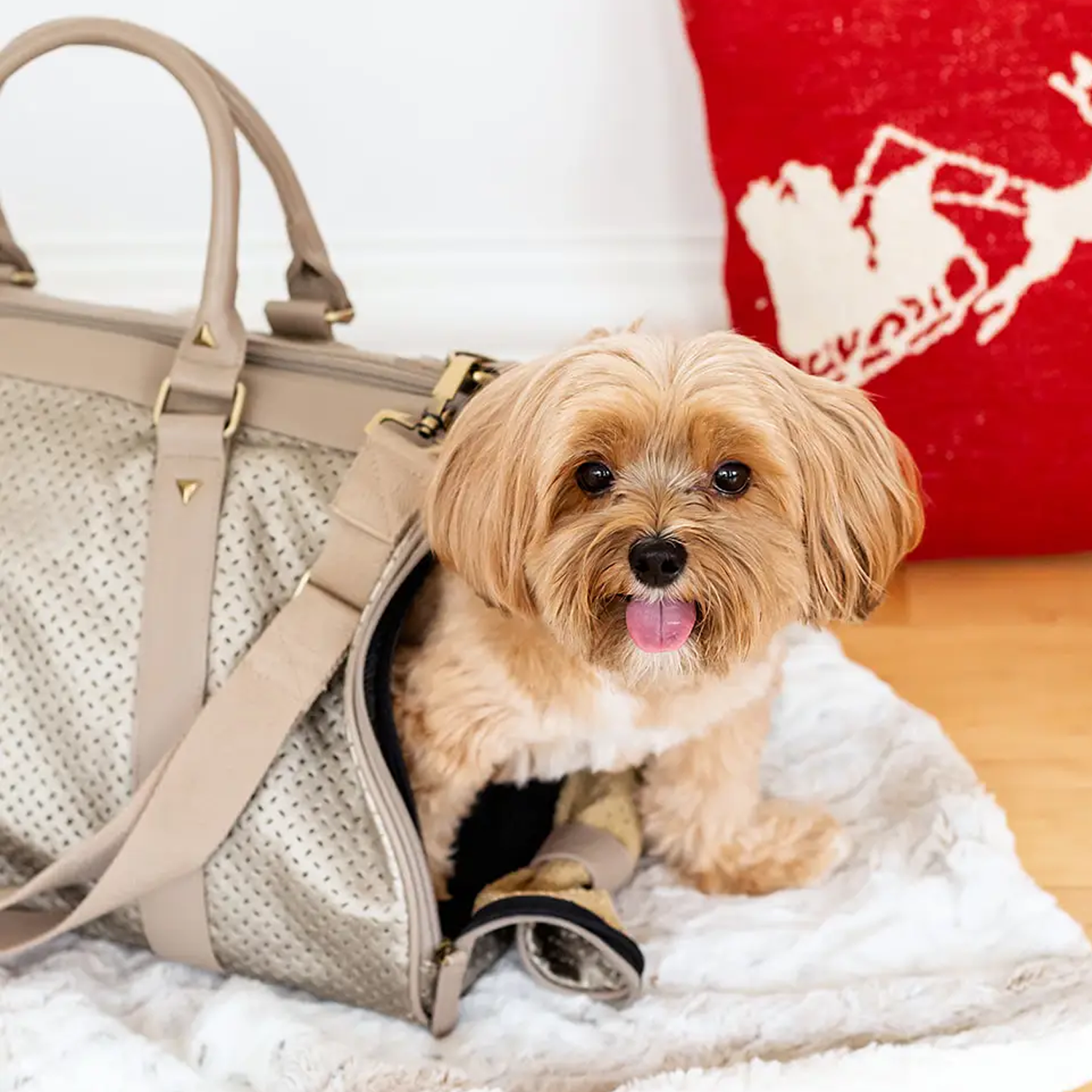 Pet Carrier - Champagne Mia Dog Carrier by BK Atelier