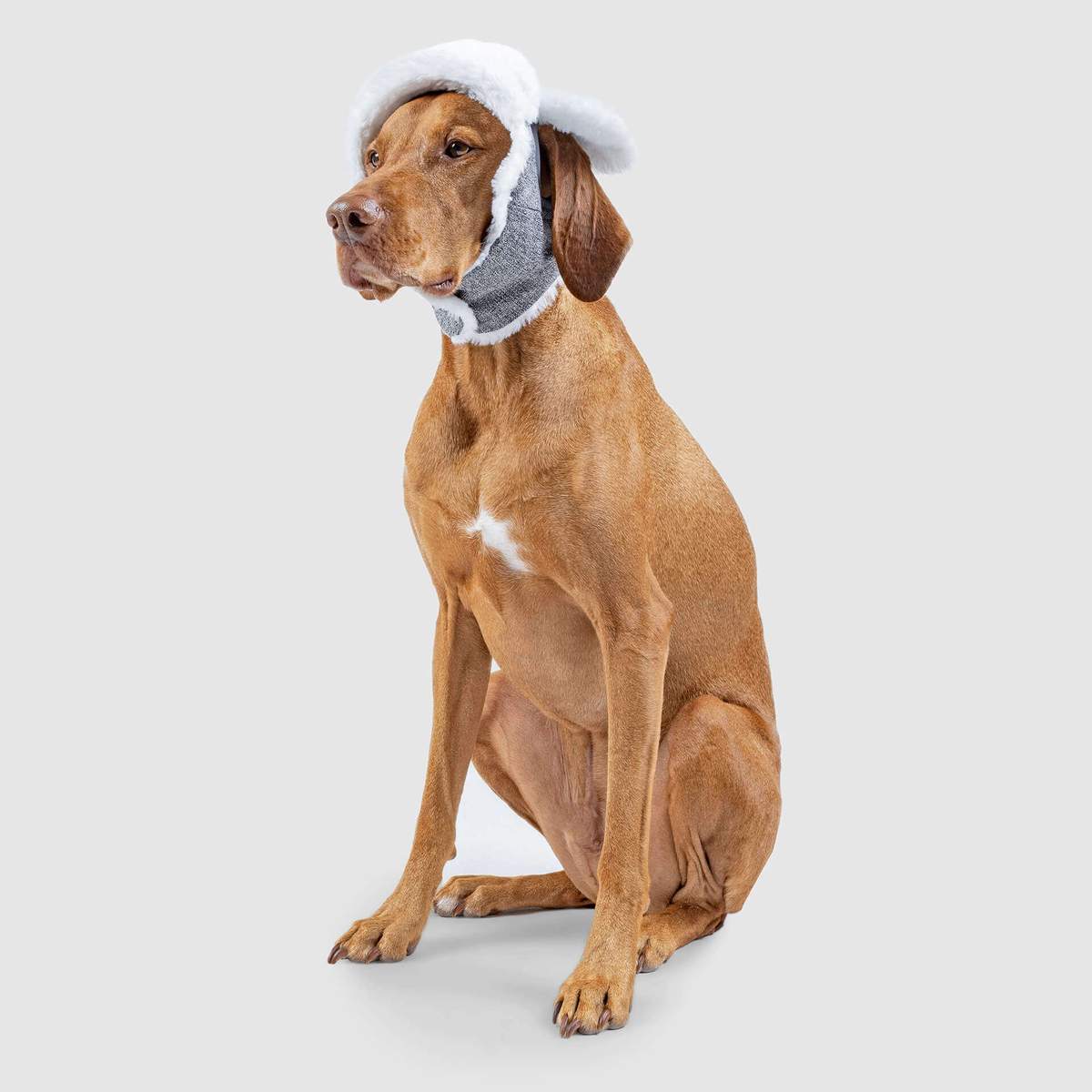 Arctic Air Dog Hat  TeaCups Puppies & Boutique – TeaCups, Puppies &  Boutique