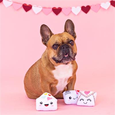 Pet Boutique - Dog Toys - Sealed with a Kiss Dog Toy Set by Fringe Studio