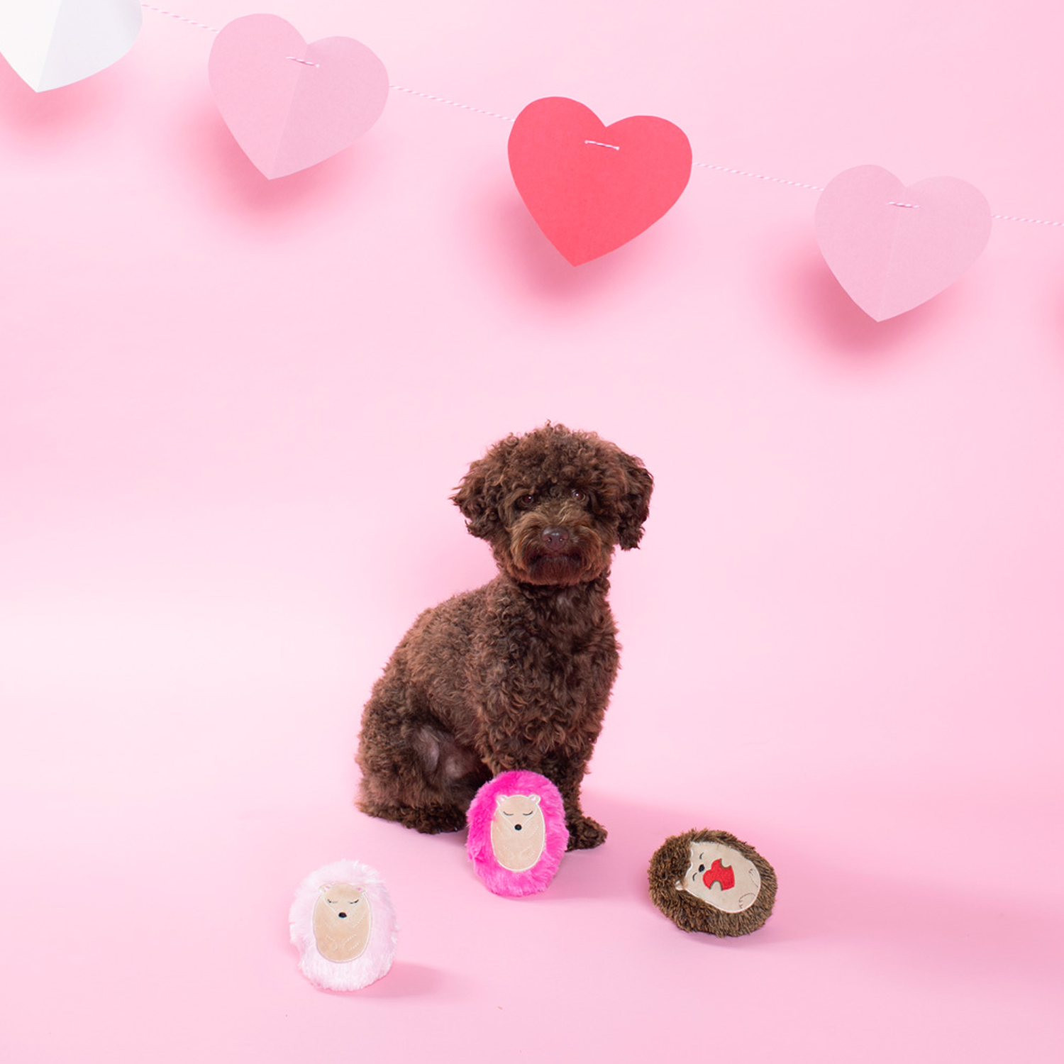 Pet Boutique - Dog Toys - Hedge-Hugs And Kisses Dog Toys - Valentine's Day - Fringe Studio