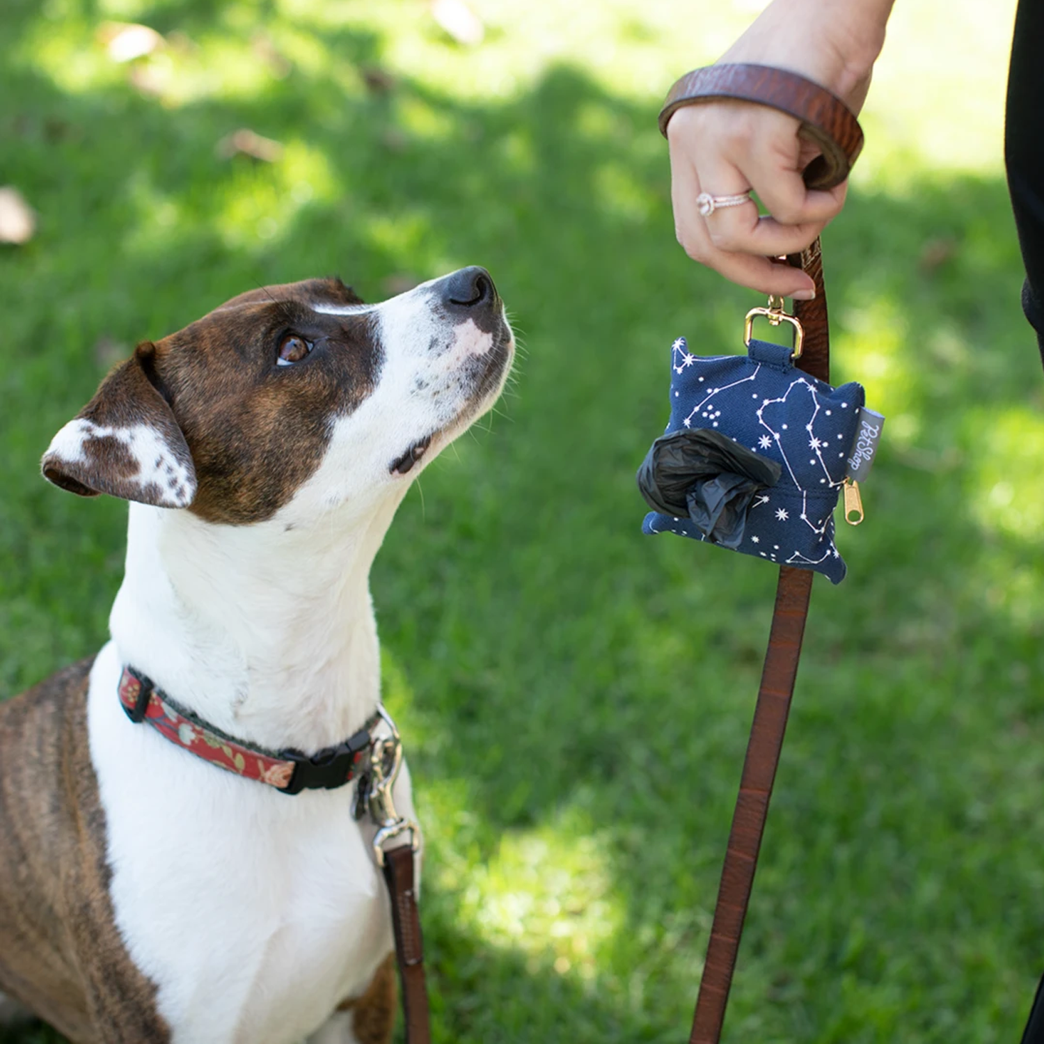 Dog Sanitary Accessories - Celestial Canvas Poop Bag Dispenser by Fringe Studio