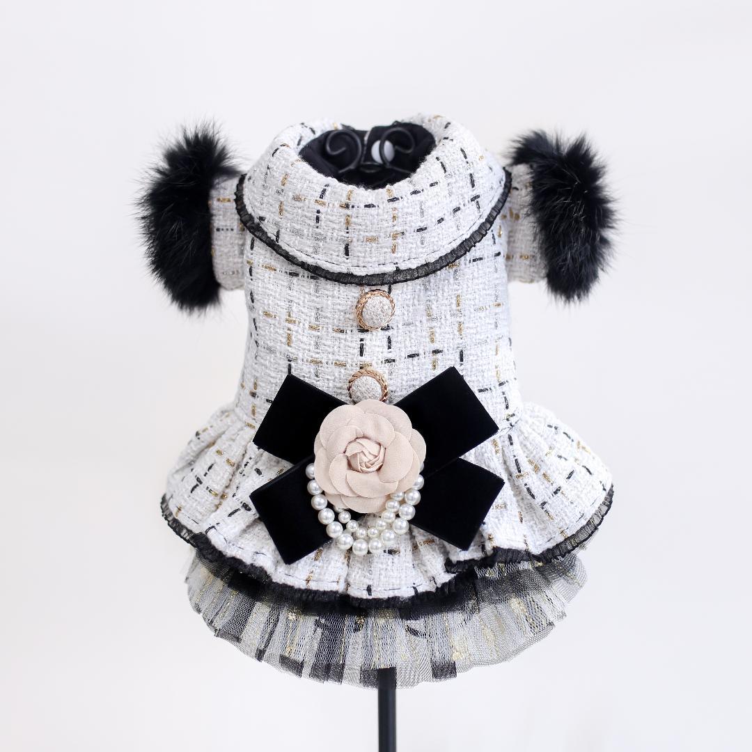 Paris Dog Dress Coat TeaCups Puppies & Boutique TeaCups, Puppies