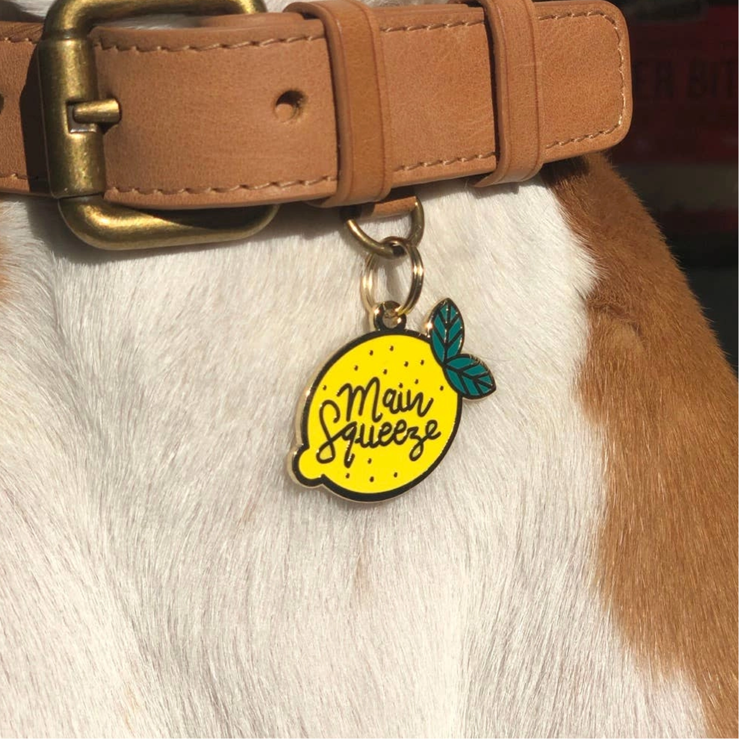 Dog ID Tag - Main Squeeze Lemon Pet ID Tag