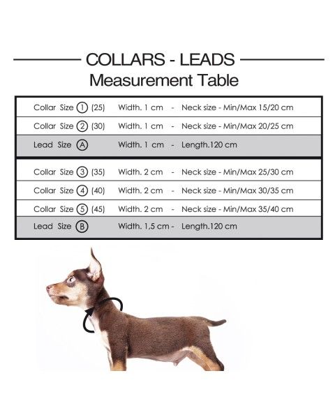 Pet Boutique - Dog Collar - Python Dog Collar: Gold by Milk & Pepper