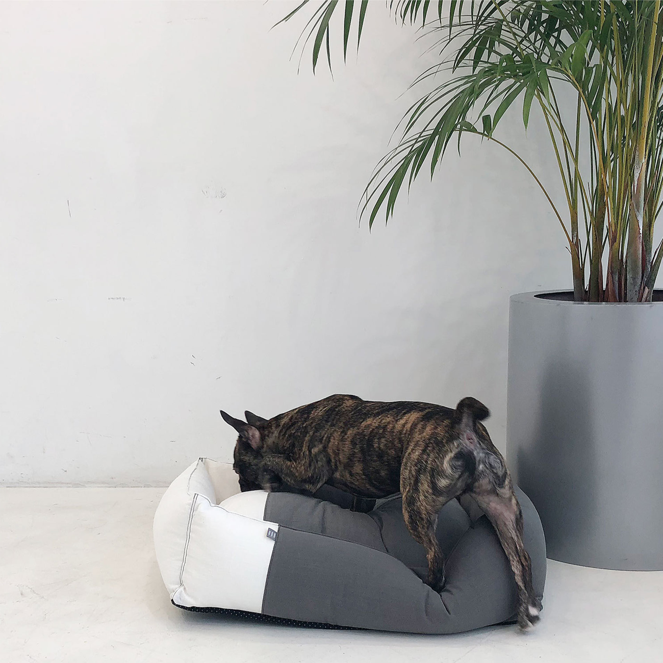 Pet Boutique - Dog Bed - Charcoal/White We Love Linen Dog Bed by Monchouchou