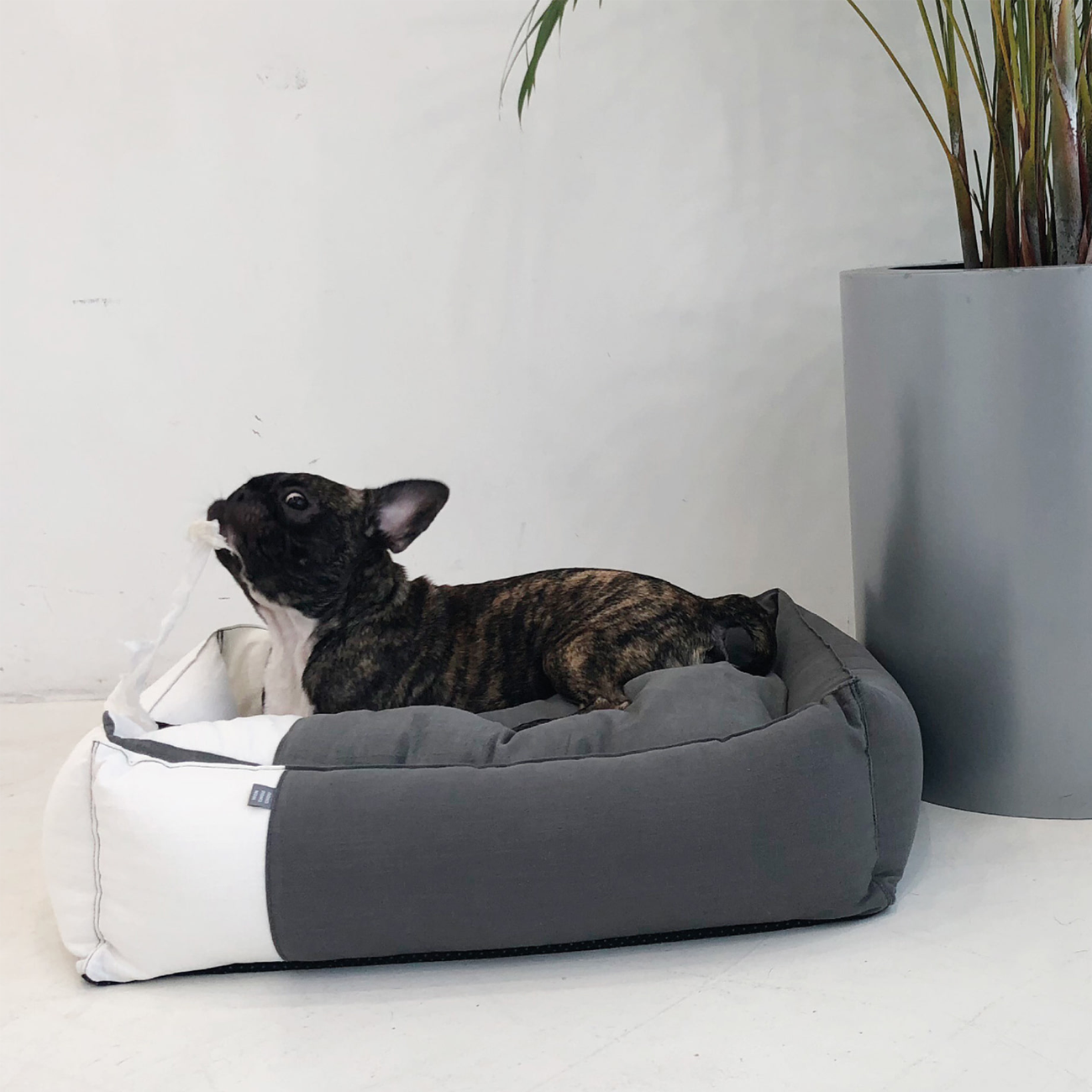 Pet Boutique - Dog Bed - Charcoal/White We Love Linen Dog Bed by Monchouchou