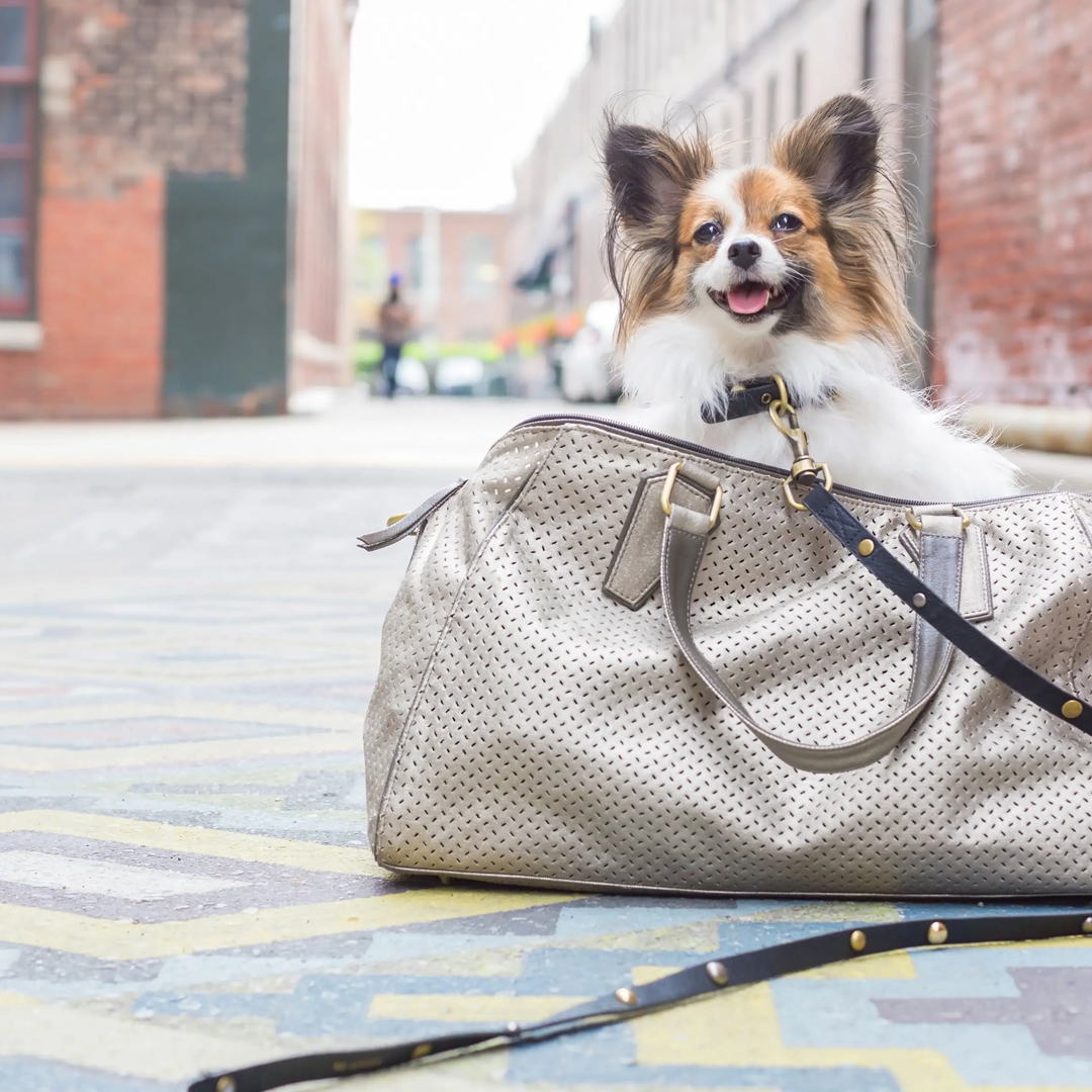 Nat Tote Dog Carrier: Champagne