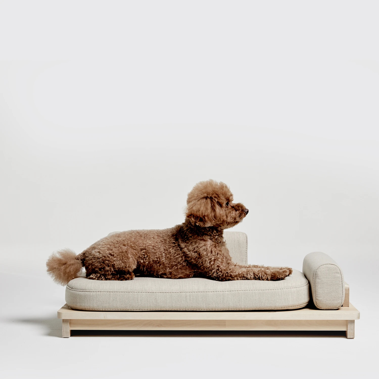 Pet Boutique - Dog Beds - Oatmeal Linden Day Dog Bed by Pets So Good