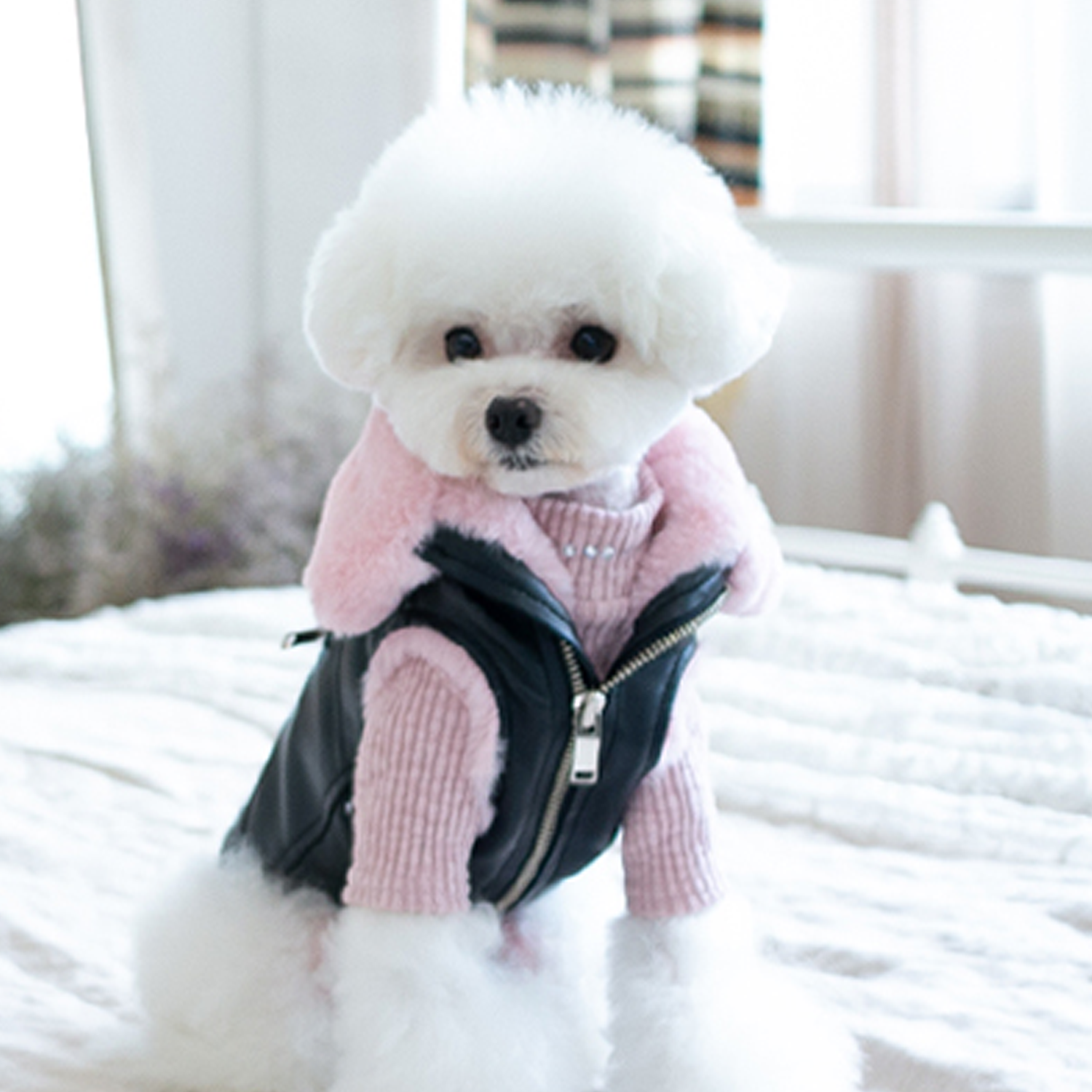Designer Dog Clothes - Dog Clothing For Teacup Puppies and Small