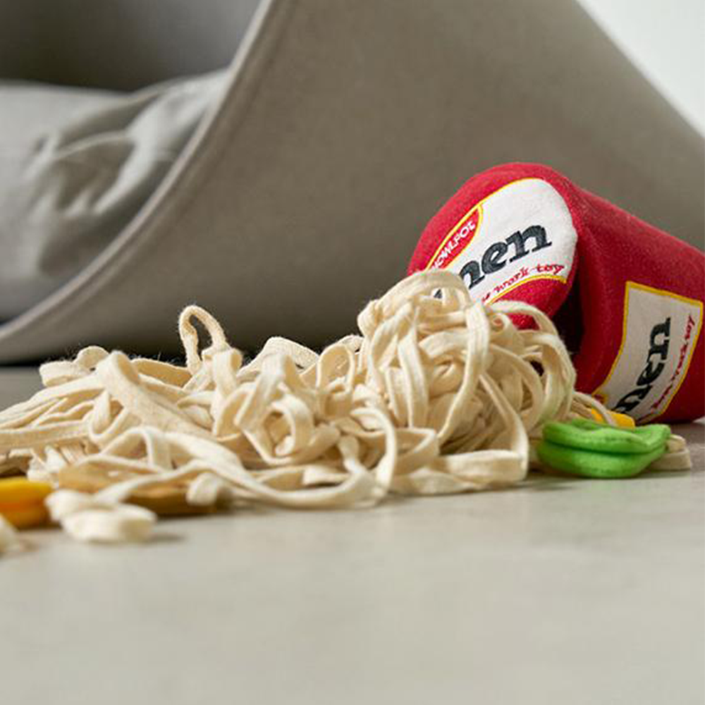 Noodle Asian Bowl Dog Toy Ramen