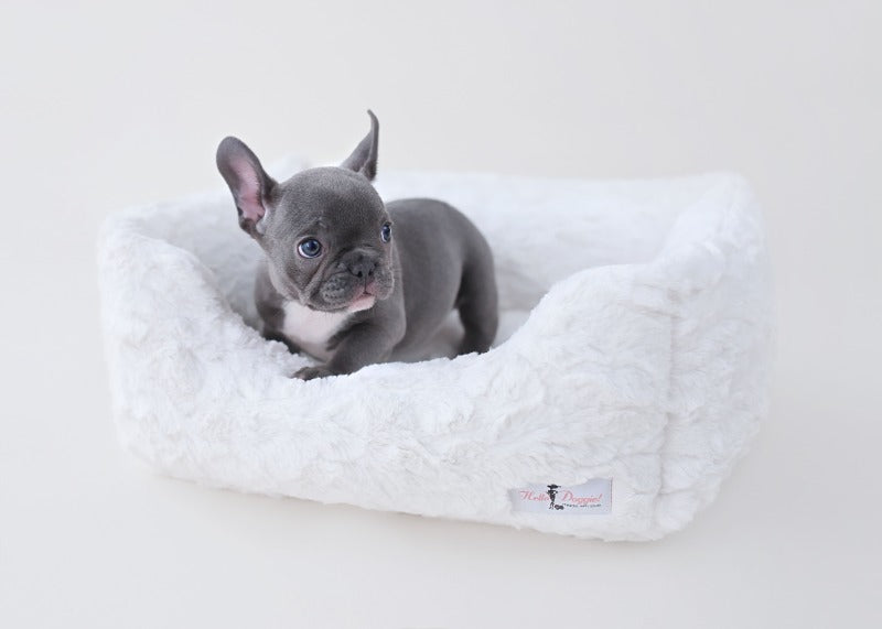 Pet Boutique - Designer Dog Beds - Hello Doggie - Bella Dog Bed