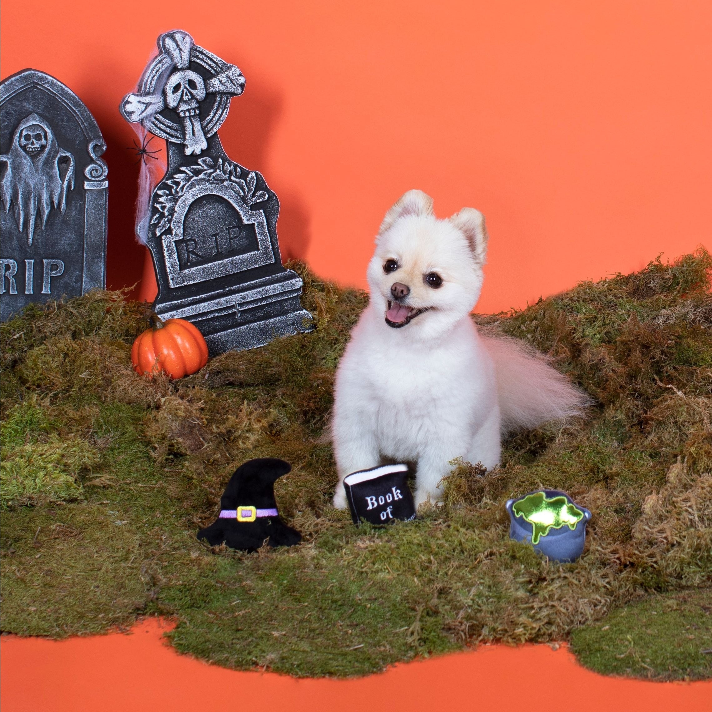 Witching Hour Dog Toy Set