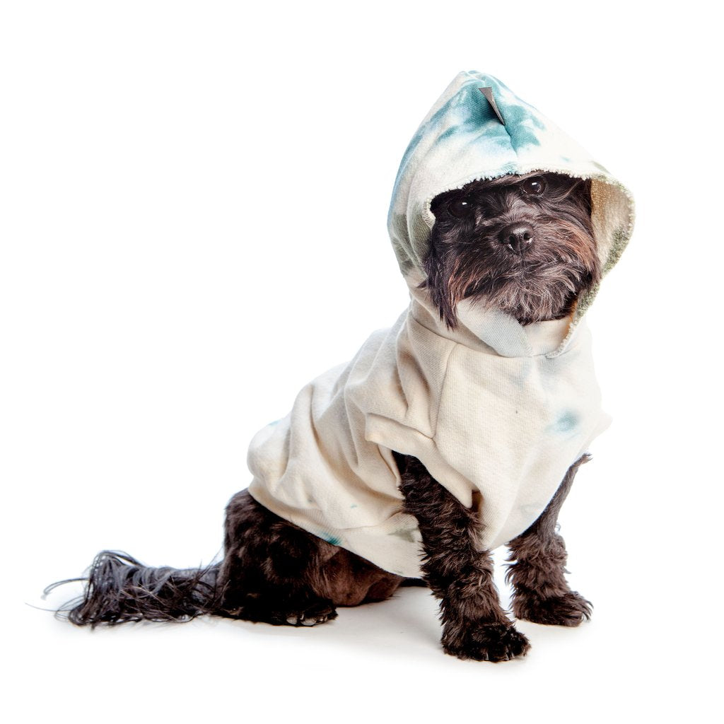 Pet Boutique - Dog Clothing - Catskill Studio Splatter Dog Sweatshirt by Found My Animal