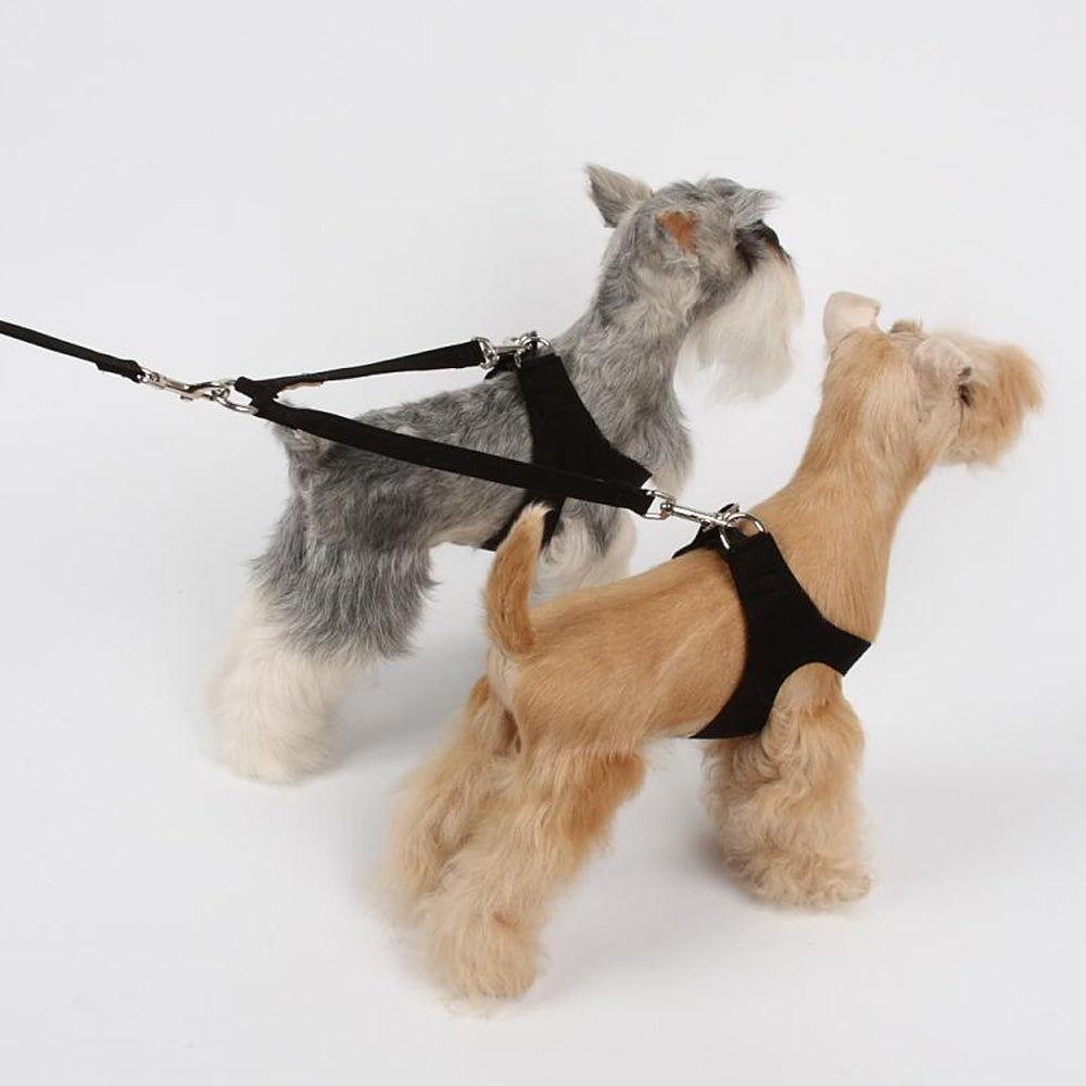Pet Boutique - Dog Leash - Coupler Dog Leash - Teacup Puppies