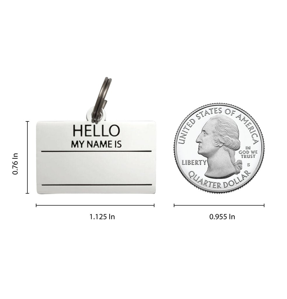 Dog ID Tag - Silver Hello My Name Is Pet ID Tag - Sizing