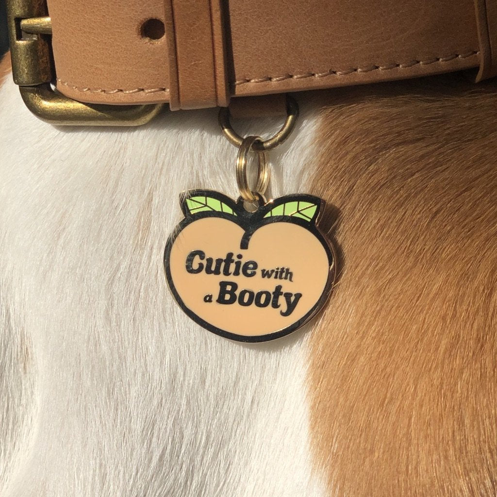 Dog wearing Cutie with a Booty Pet ID Tag