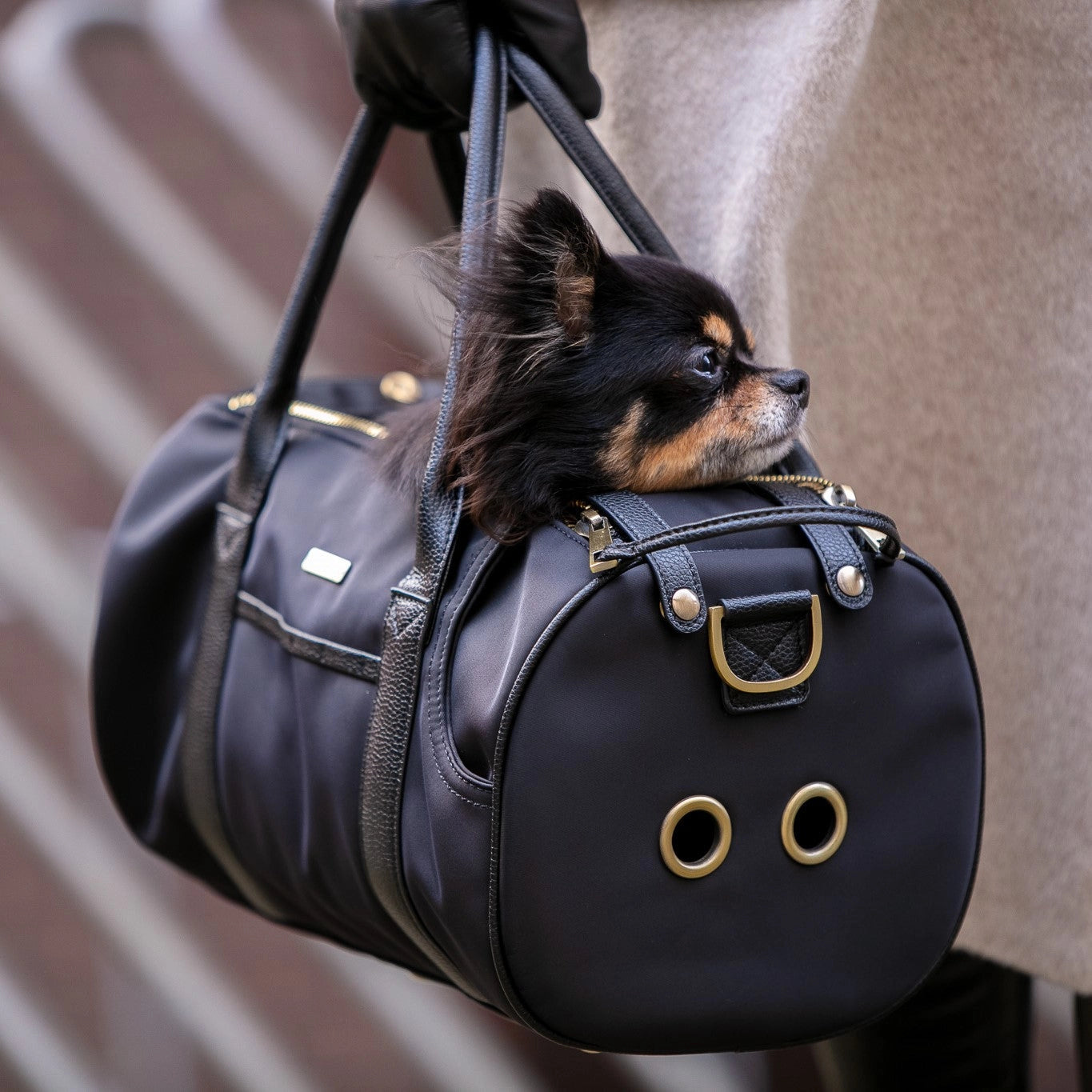 Teacup dog deals carrier