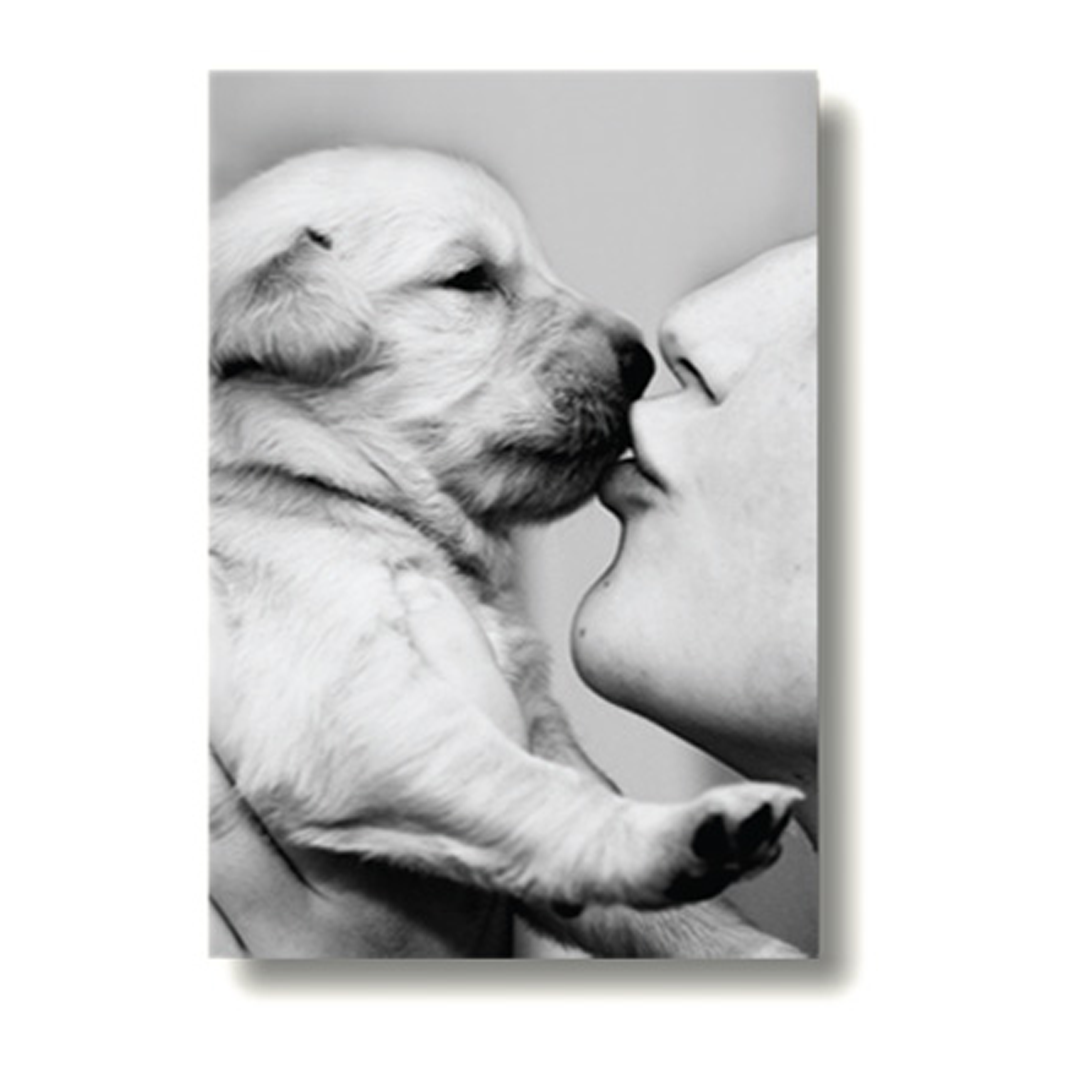 Dog Gift - Love Is All You Need Dog Card