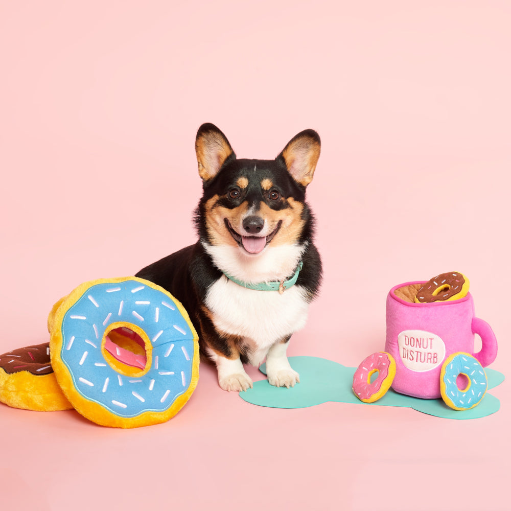 Pet Boutique - Dog Toy - Donut Disturb Dog Toy by Zippy Paws