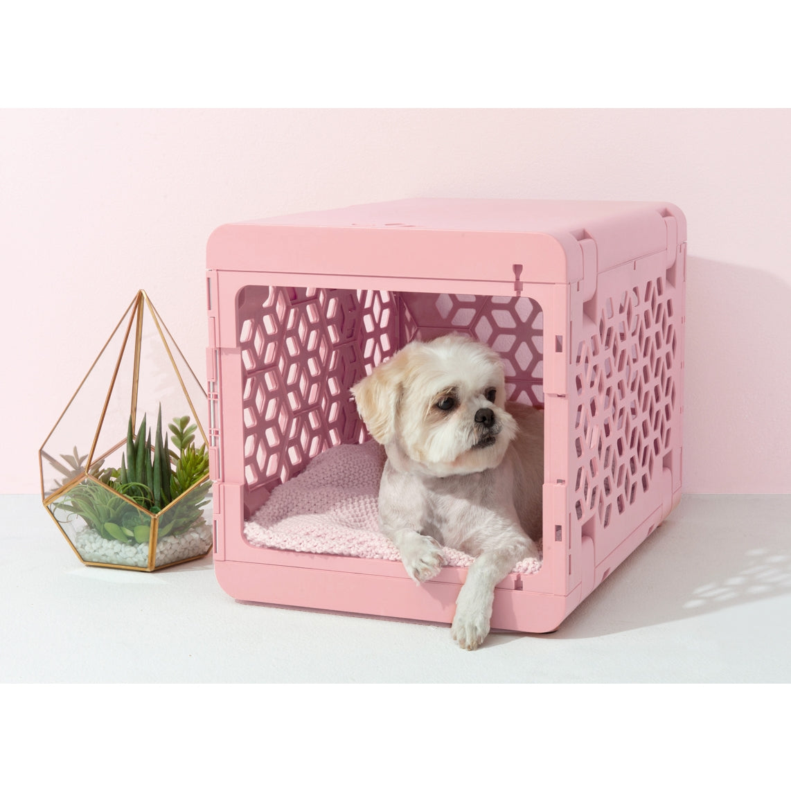 Modern Collapsible Pet Crate