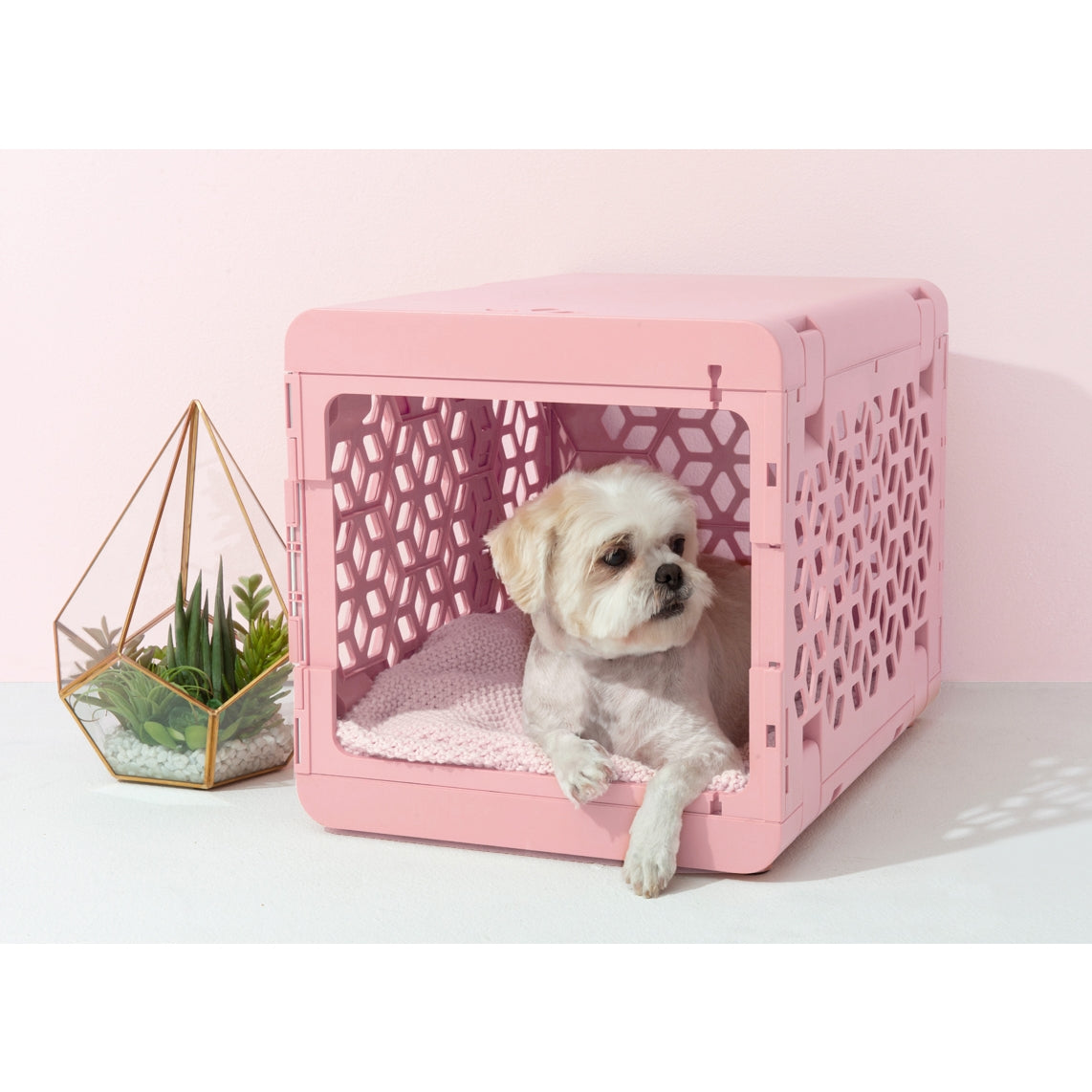 Image showcasing Modern Collapsible Pet Crate | TeaCups Puppies & Boutique – TeaCups ...