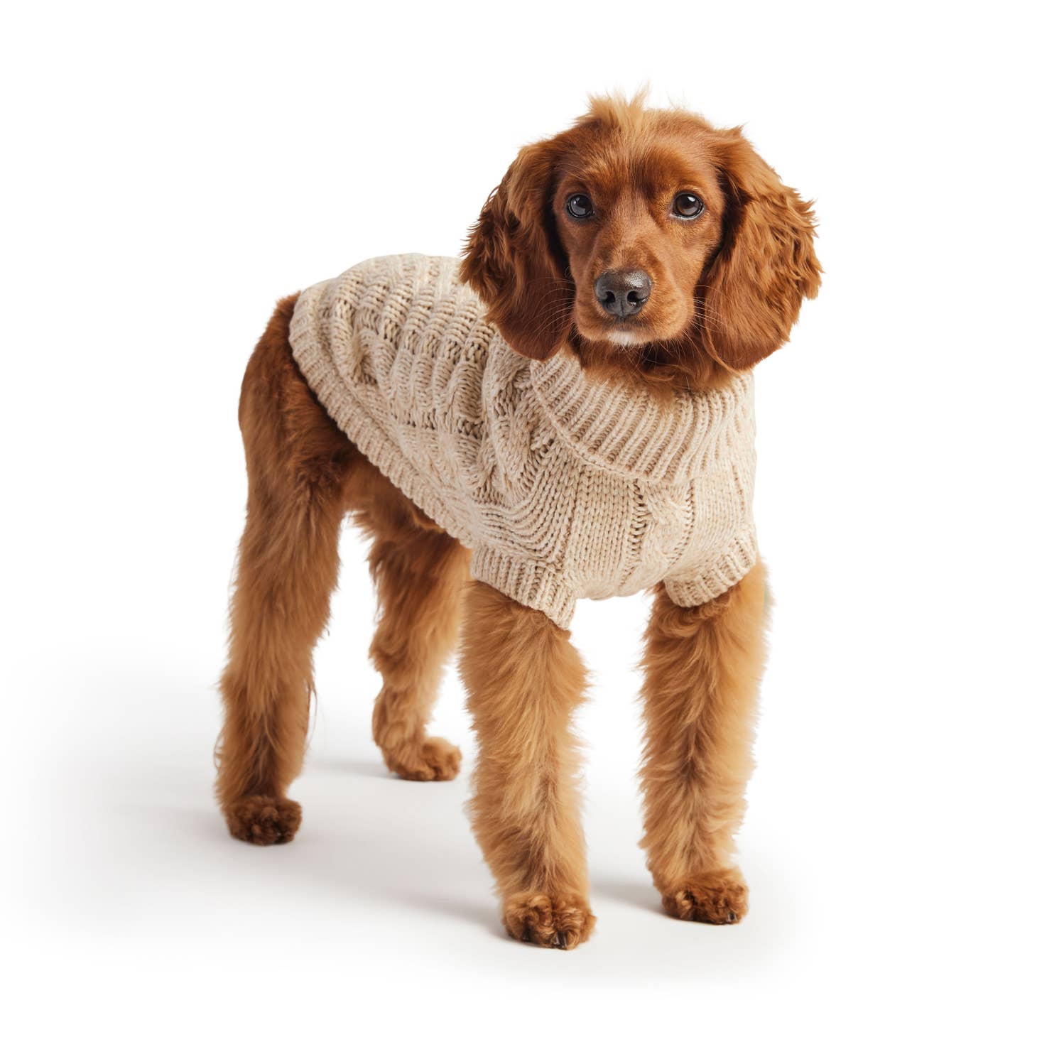 Chalet Dog Sweater