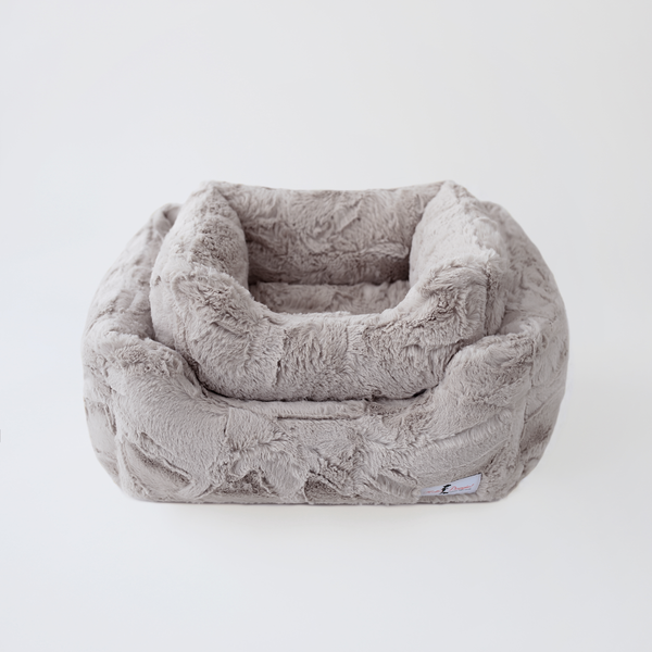 Teacup puppy fashion beds