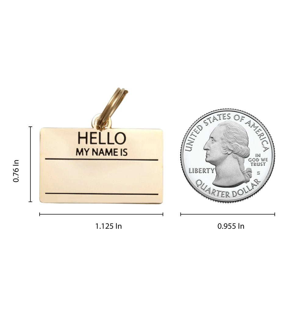 Dog ID Tag - Gold Hello My Name Is Pet ID Tag - Sizing
