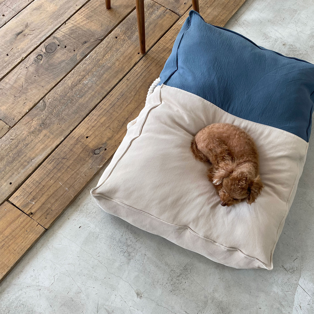 Pet Boutique - Dog Bed - Standard Cushion Dog Bed by Monchouchou