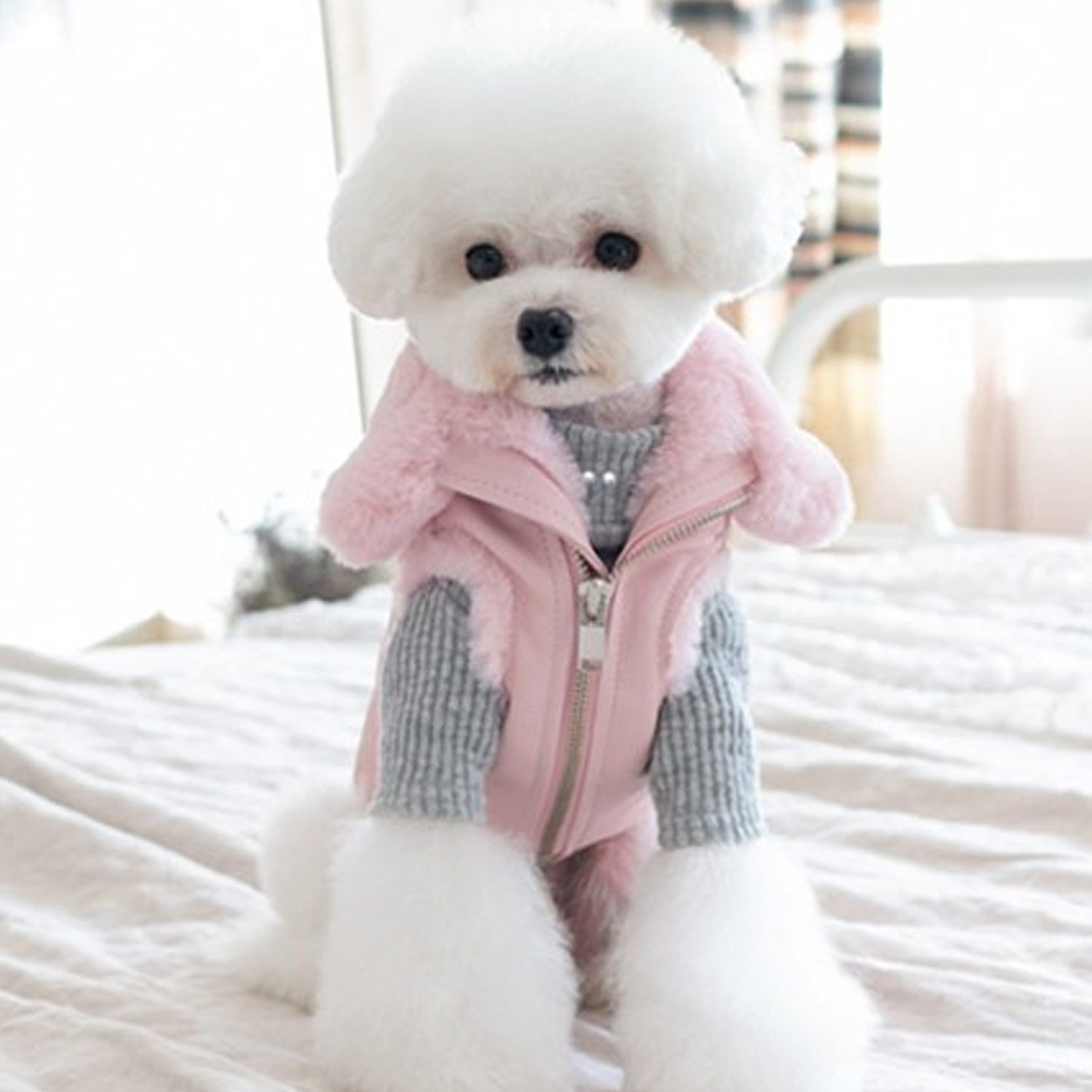 Designer Dog Clothes - Faux Fur Dog Biker Jacket: Pink