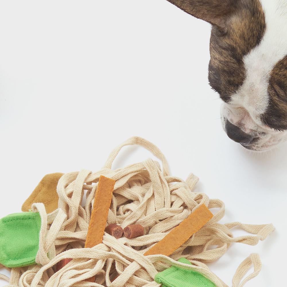 Ramen Noodles Dog Toy  Shop Plush Dog Toys – TeaCups, Puppies