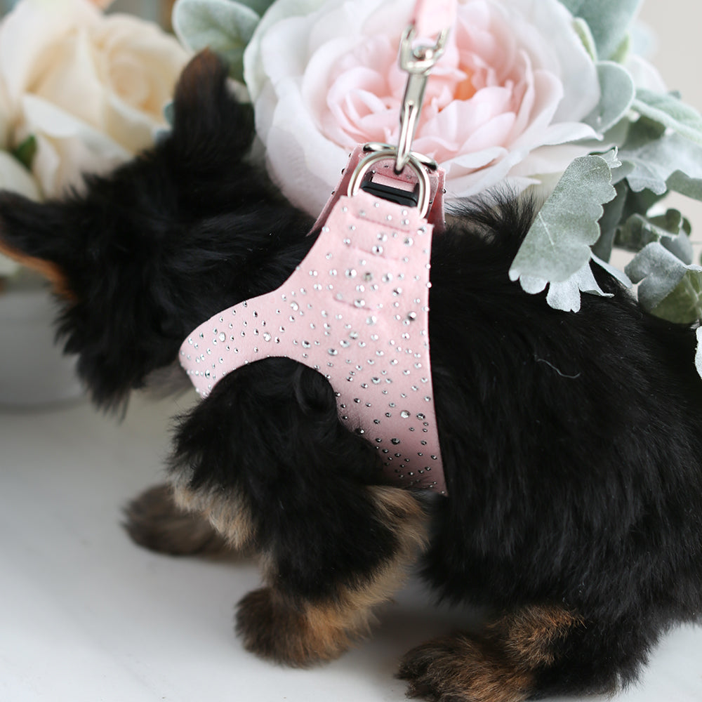 Pet Boutique - Dog Harness - Stardust Dog Harnesses by Susan Lanci - Teacup Puppies