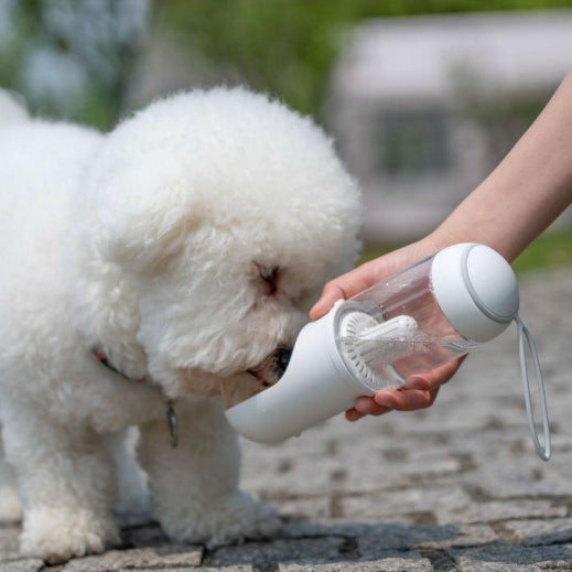 Travel Dog Water Bowl
