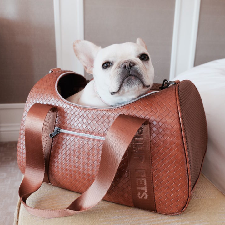 NEW Designer small dog carrier – Isle For Dogs Boutique LTD